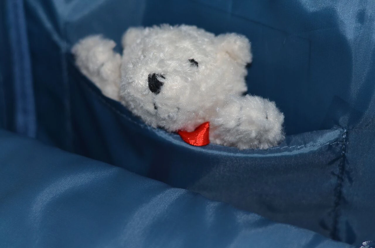 Djeco Eichhörnchen 7 Djeco Eichhörnchen – Bild 5