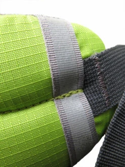 Rucksack BOLL SMART Artwork Collection 24 L Fisch - Teal -Studentenrucksack 58622