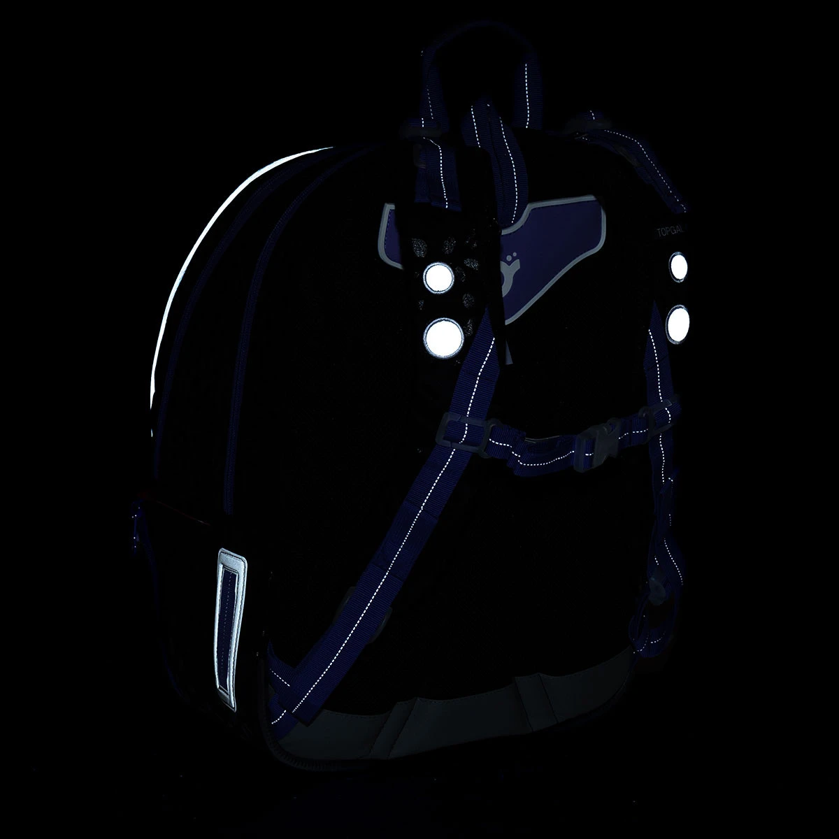 Schulrucksack Topgal CODA 23007 G 18 Schulrucksack Topgal CODA 23007 G – Bild 16